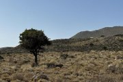 Kokkino Chorio Kreta, Kokkino Chorio: Spektakuläres 80.000 m² großes Grundstück mit Meerblick auf Kreta zum Verkauf Grundstück kaufen